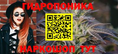 мдпв Гатчина
