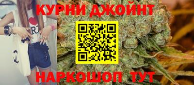 мдпв Гатчина