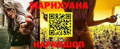 мдпв Гатчина