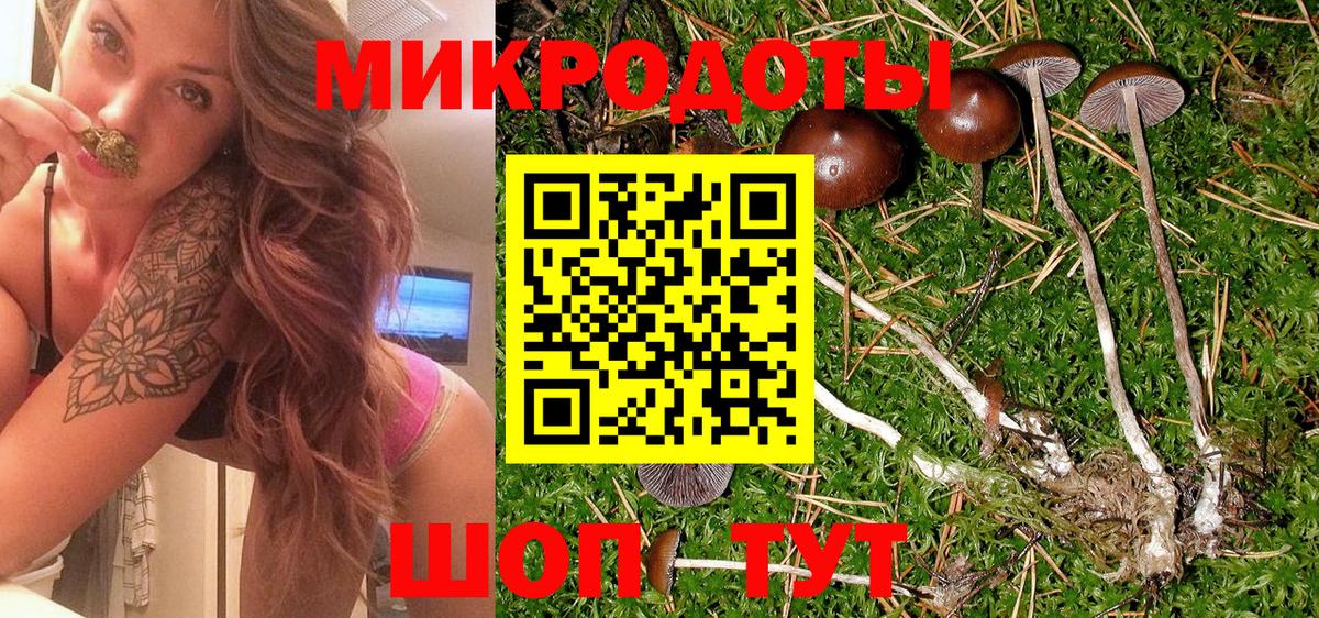 Псилоцибиновые грибы прущие грибы Новодвинск