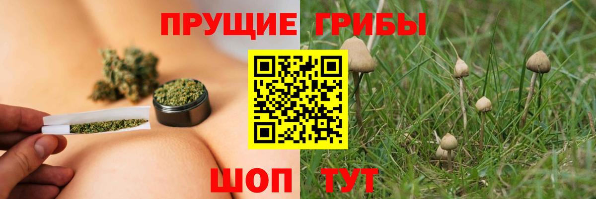 Новодвинск  даркнет сайт  Вход с VPN  Псилоцибиновые грибы Psilocybe  Галлюциногенные грибы GOLDEN TEACHER 