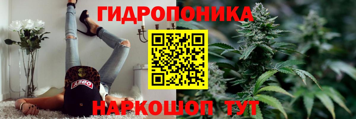 Новодвинск  Шишки марихуана OG Kush  Вход с VPN  МАРИХУАНА THC 21% 